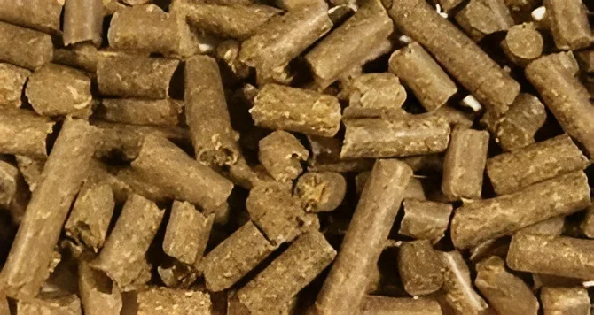 Girasol de pellets