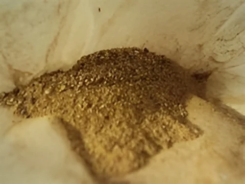 Palmiste