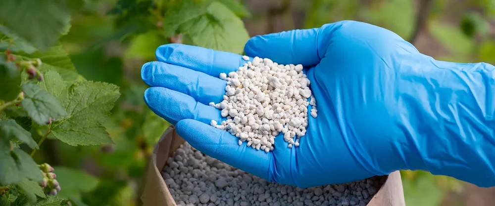 Urea para fertilización agrícola